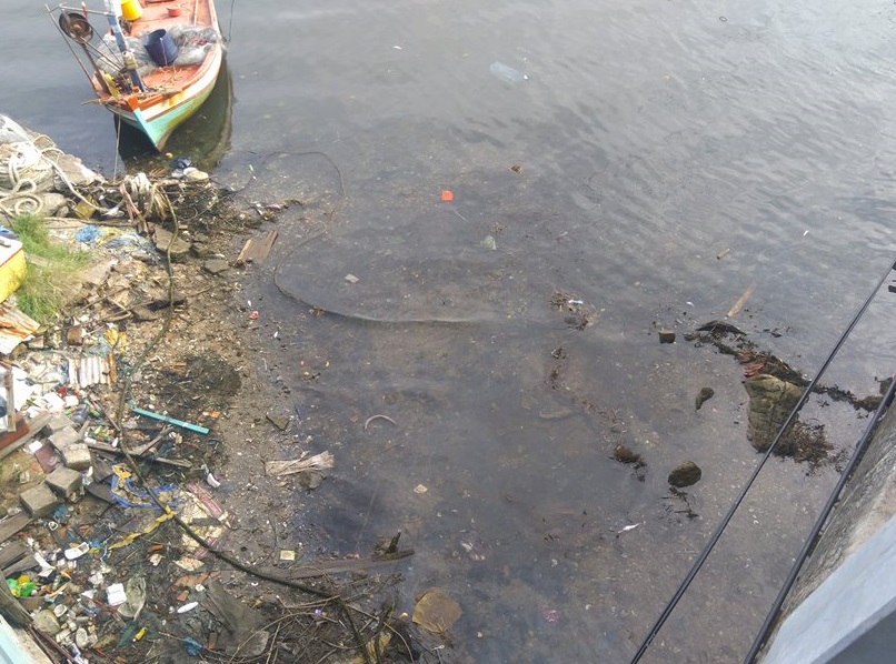 21291473_1668855519855013_1482905462_n