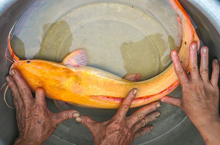 26-10-2017-tinCQH-02