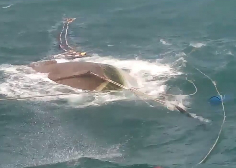 ch&igrave;m t&agrave;u