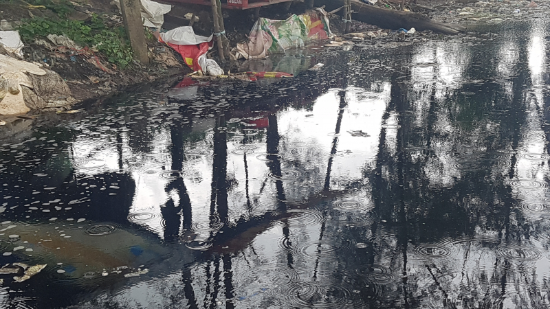 b&atilde;i r&aacute;c t&acirc;n tạo (2)