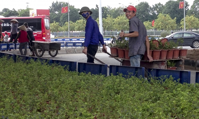 Di-chuyen-vuon-hoa-moc-giua-nut-giao-thong-hien-da