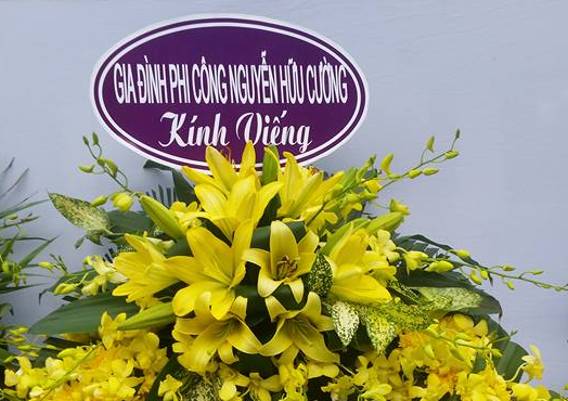 gđ anh Cường