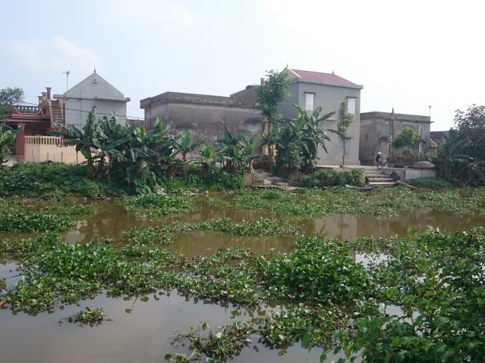 Mẹ mải m&ecirc; l&agrave;m cỏ, con đuối nước tử vong