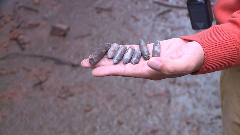 26197793_10214767582883792_6696495290794329630_o