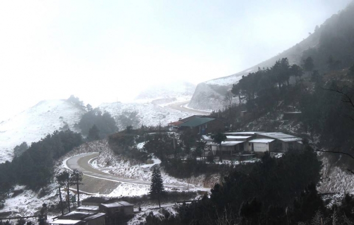 12573063_571179276372028_6838712654739544898_n