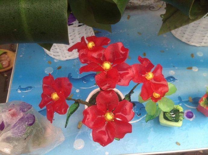 17160512_752889218195022_2001678220_n