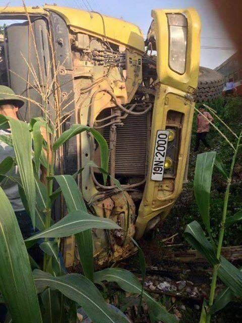 11329767_1442410106077821_3492004436211817792_n