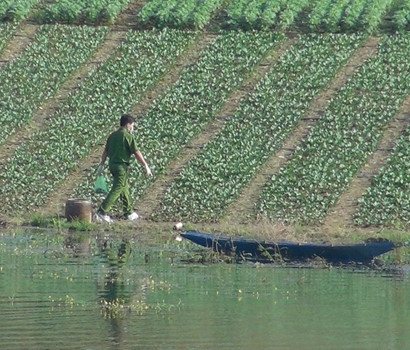 an-mang-suoi-cam-1_TCVT