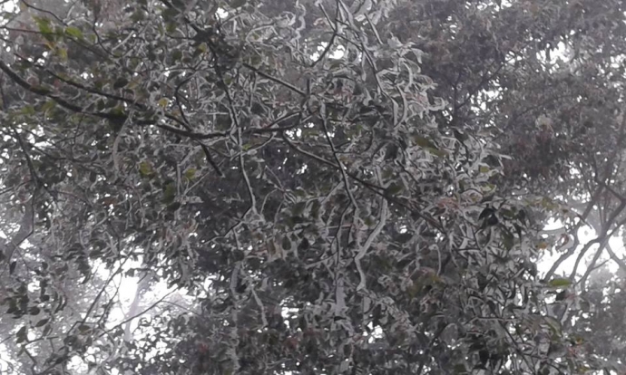 10488152_830033797142054_9011745495040050396_n