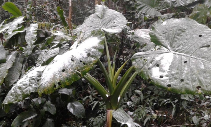 12512619_830033750475392_7938720131268170221_n