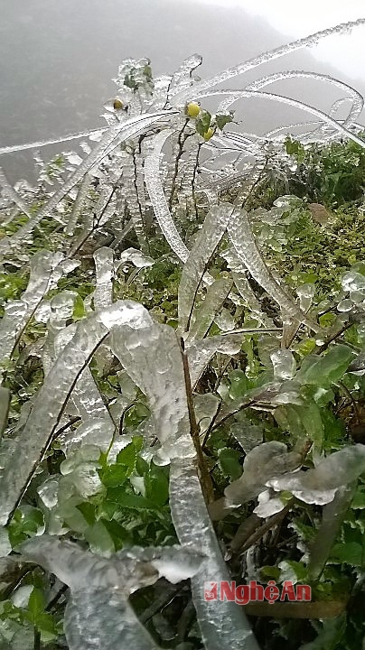 images1447264_1453620482407_177