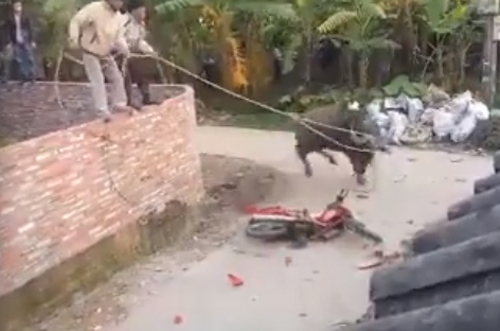 trau-2-7325-1456106662