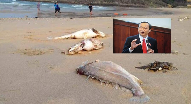 ca-hoang-ly14-1461170740963-46-0-382-660-crop-1461