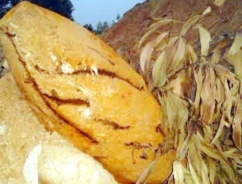 dao-ao-phat-hien-qua-bom-nang-nua-tan