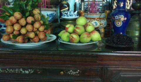 bai-cung-tet-doan-ngo