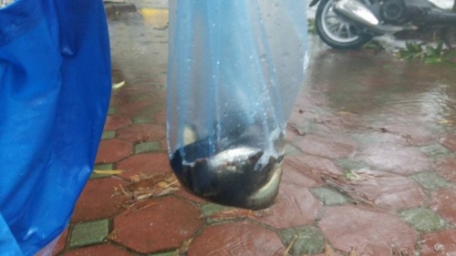 1405414010204848918663181428794007633273_2n25e7s3f