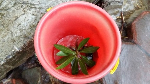 1406404110204848921703257203897717080645_2n25e7s3j