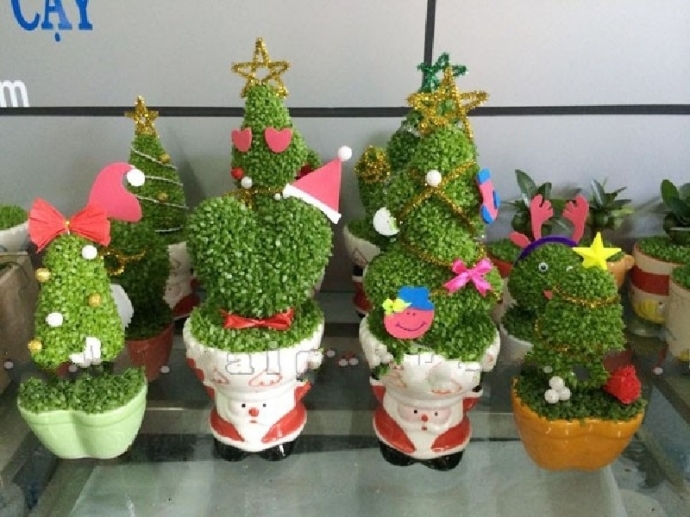 may-man-cay-thong-giang-sinh-46053