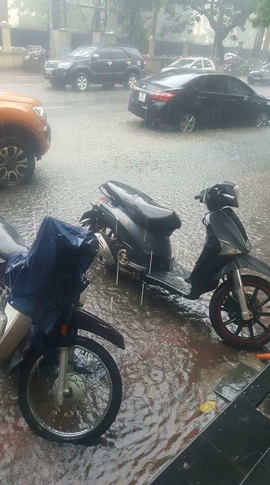 18422323_1229399577172931_2350438268098760272_o