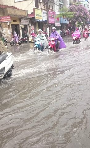 18450220_658284727696111_209892897_n