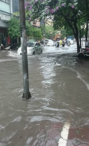 18471549_658279981029919_107541288_n