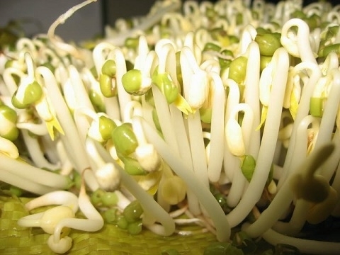 gia-do-xanh-suckhoenhivn-131153-1542