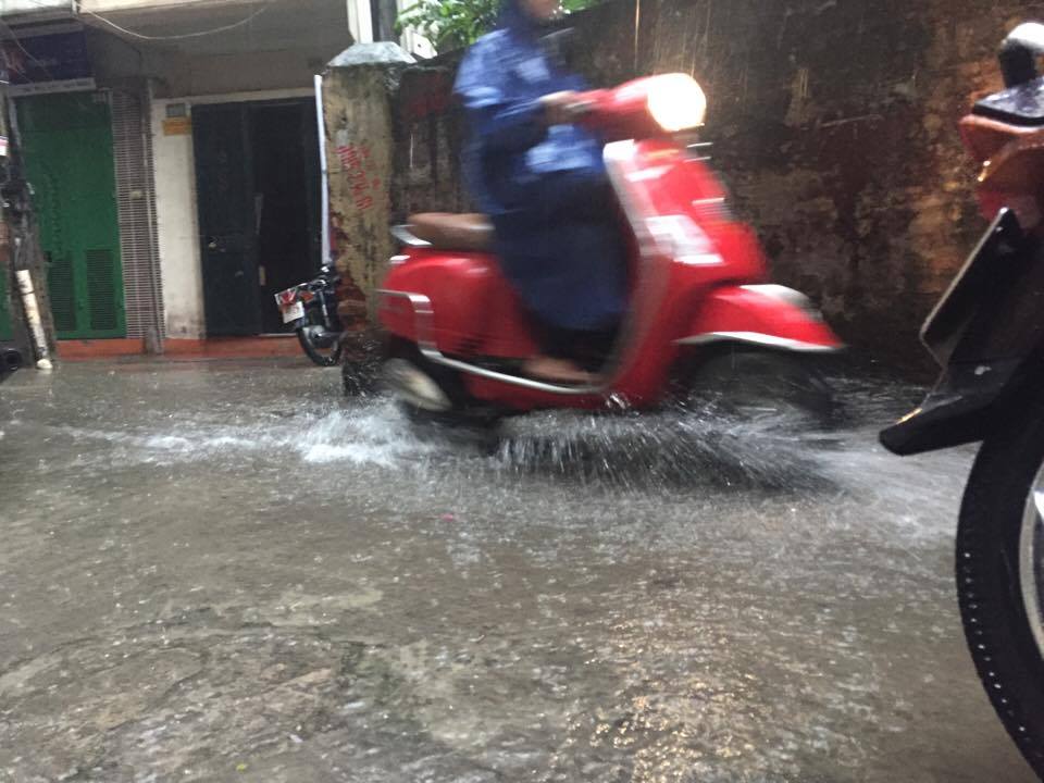 20645597_10207560105440435_1970909546_n