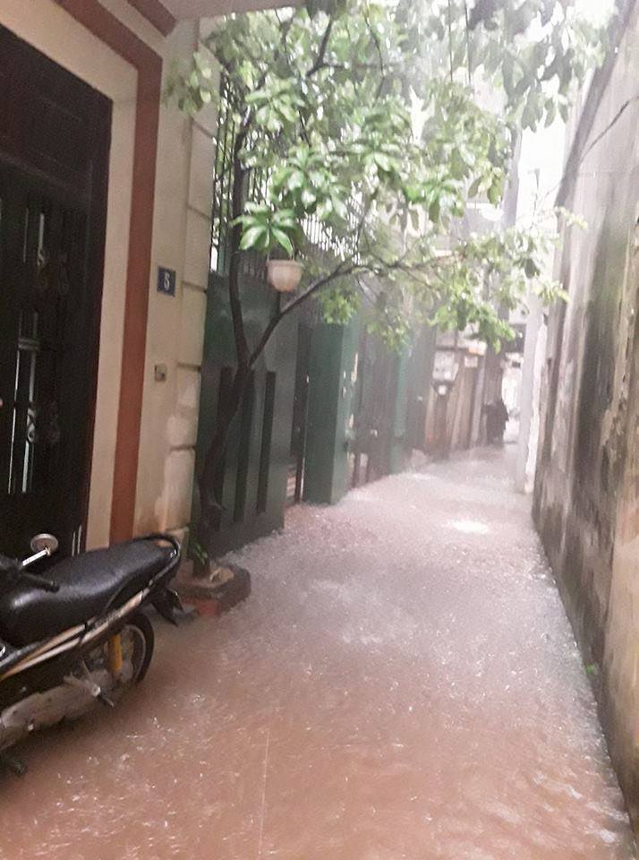 20668065_1983648558532960_224302674_n