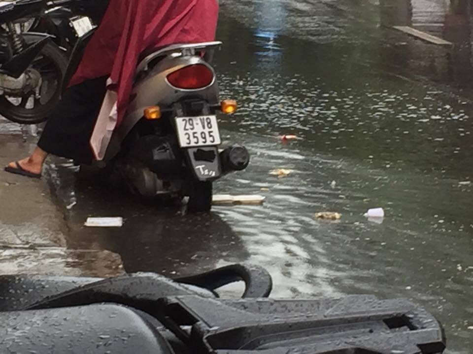 20668515_10207560105760443_440641039_n