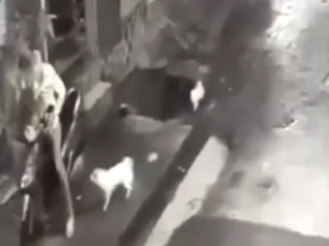 Sequence 01.Still001