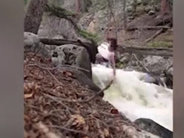 Sequence 01.Still002