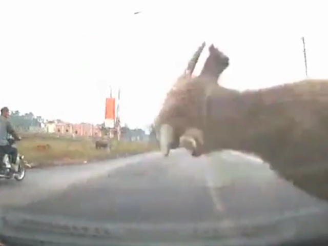 Sequence 01.Still008