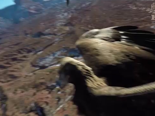 Sequence 01.Still004