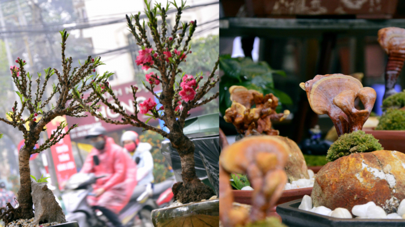 Sequence 01.Still003