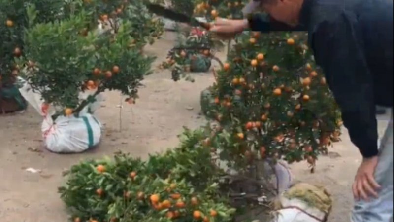 Sequence 01.Still003