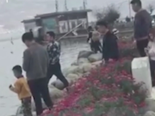 Sequence 01.Still003