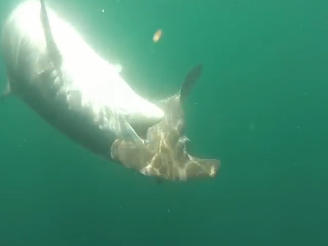 Sequence 02.Still009