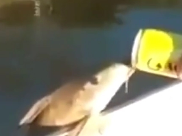 Sequence 01.Still003