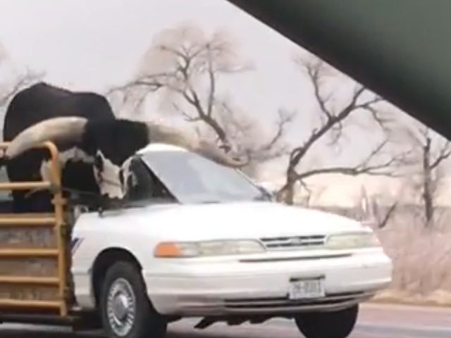 Sequence 01.Still009