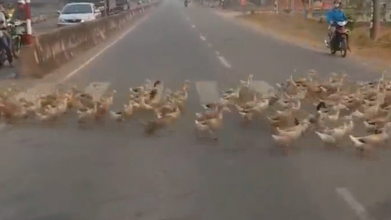 Sequence 01.Still008