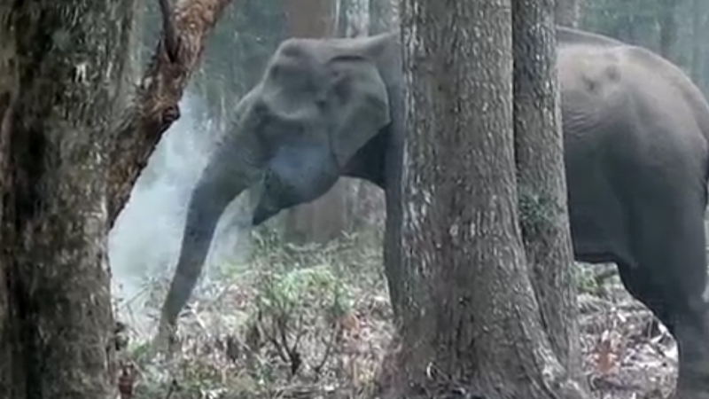 Sequence 01.Still010