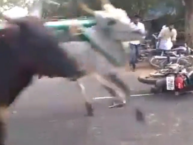 Sequence 01.Still007