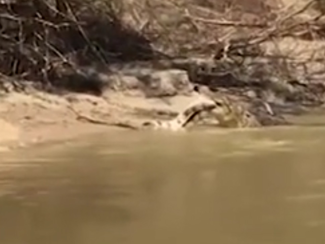 Sequence 01.Still008