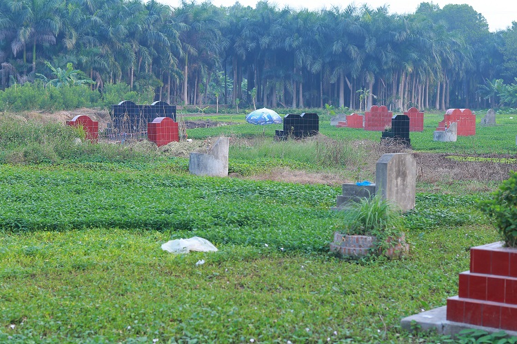 rau-muong-nghia-dia-o-thu-do