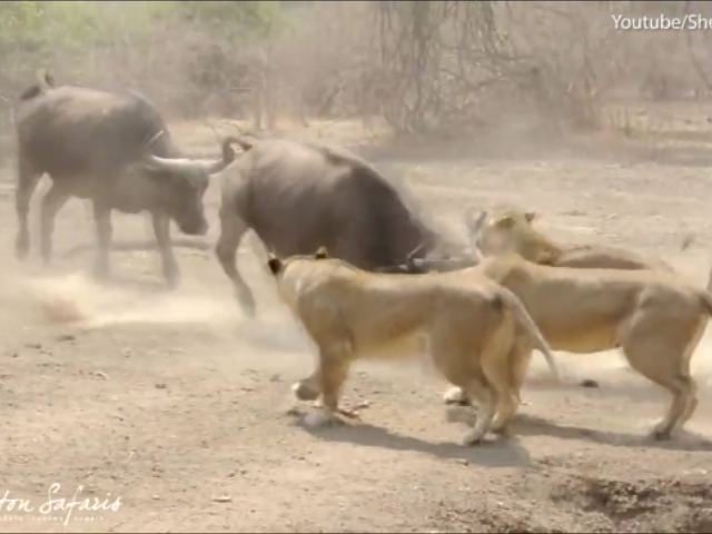 Sequence 02.Still004