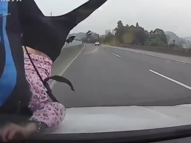 Sequence 01.Still010