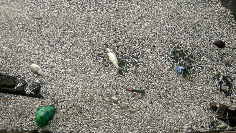 IMG_20180709_083944_HDR