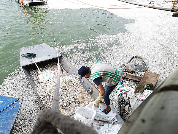 36807362_2019876374713172_3247481354404757504_n