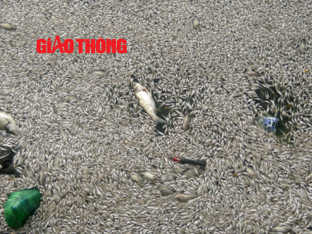 Sequence 02.Still001