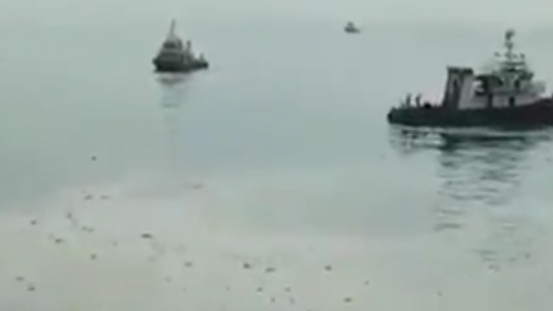 Sequence 01.Still002